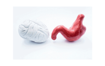 Your Gut-Brain Connection | Alzheimer’s Proof